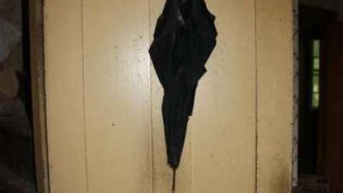 Photo from Abandoned Farm House