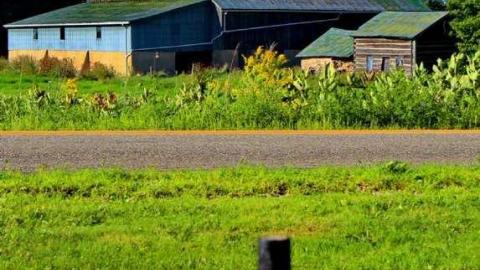 Thanks to the Johnstones - Johnson-Pres.-Pioneer-Cemetery11.jpg