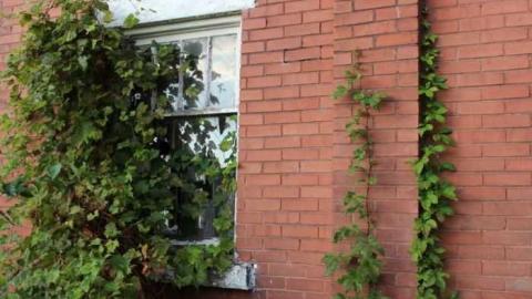 Patterson Road - A-Door-to-Nowhere54.jpg