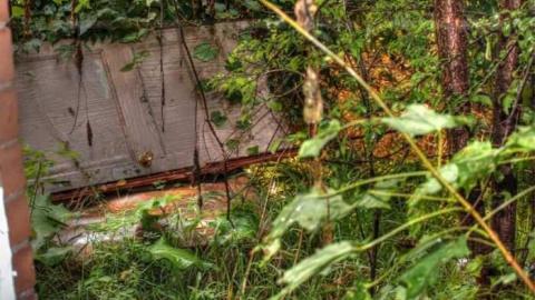 Patterson Road - A-Door-to-Nowhere6.jpg