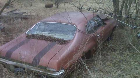 Gallery - Abandoned-Cars-Camden-East3.jpg