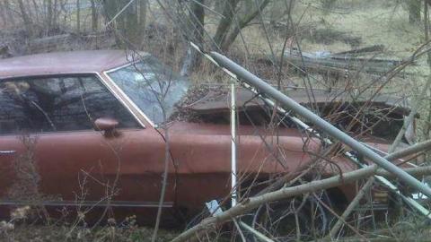 Gallery - Abandoned-Cars-Camden-East4.jpg