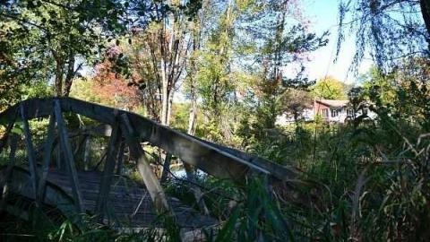 Swamp House - House-In-The-Swamp155.jpg