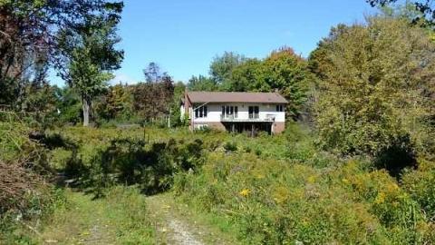 Swamp House - House-In-The-Swamp156.jpg