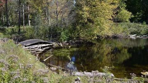 House In The Swamp photo 2