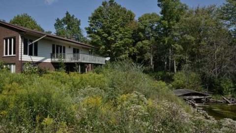 Swamp House - House-In-The-Swamp160.jpg