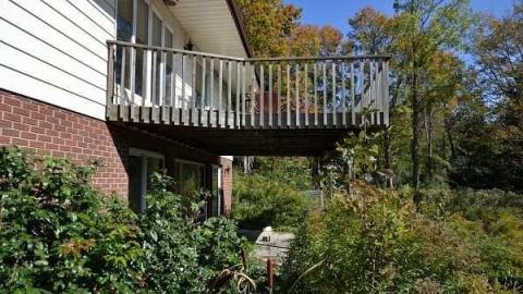 Swamp House - House-In-The-Swamp161.jpg