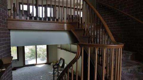 Swamp House - House-In-The-Swamp12.jpg