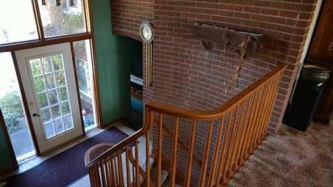 Swamp House - House-In-The-Swamp13.jpg