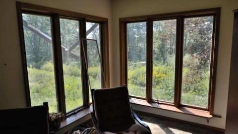 Swamp House - House-In-The-Swamp15.jpg