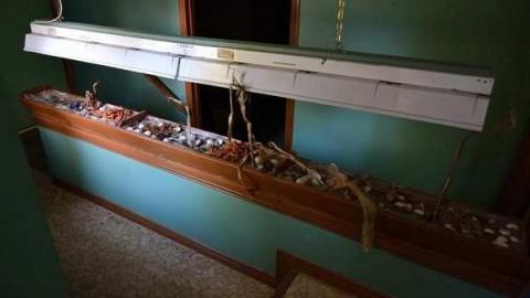 Swamp House - House-In-The-Swamp16.jpg