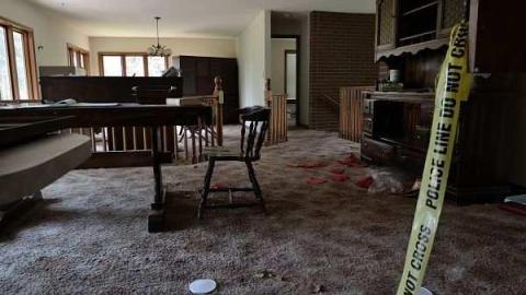 Swamp House - House-In-The-Swamp18.jpg