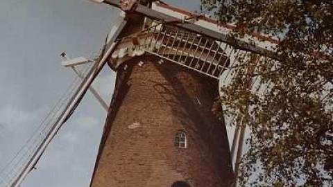 House In The Swamp photo 3