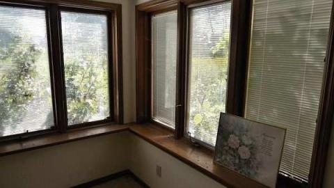 House In The Swamp photo 4