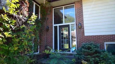 House In The Swamp photo 5