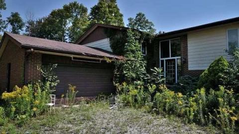 Swamp House - House-In-The-Swamp23.jpg