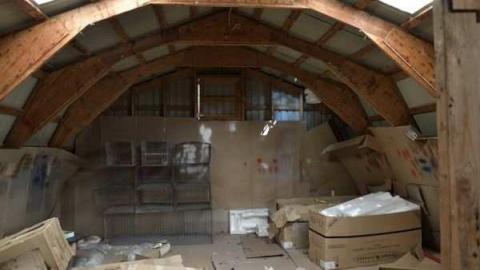 Swamp House - House-In-The-Swamp26.jpg