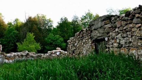 Ruins - Stone-Ruins-Belfountain57.jpg