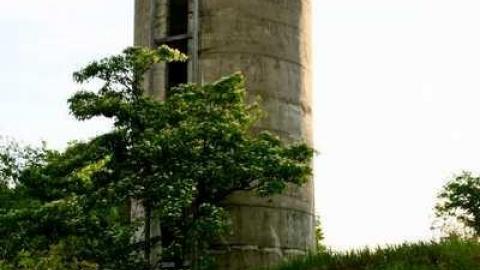 Ruins - Stone-Ruins-Belfountain55.jpg