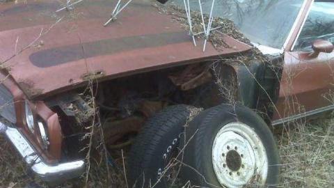 Gallery - Abandoned-Cars-Camden-East7.jpg