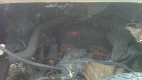 Gallery - Abandoned-Cars-Camden-East8.jpg