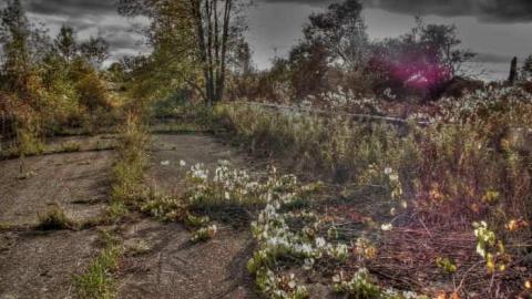 Great Day for a Motorcar Race - The-Acton-Speedway15.jpg