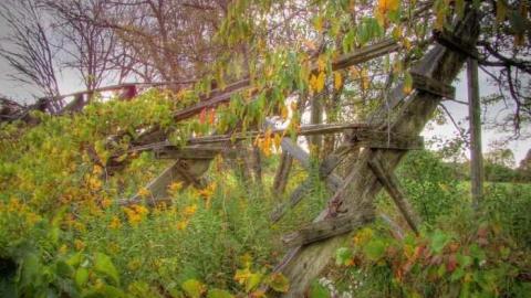 Great Day for a Motorcar Race - The-Acton-Speedway21.jpg