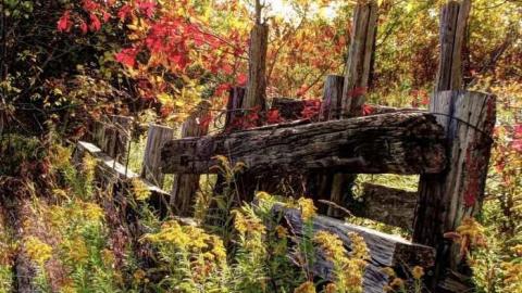 Great Day for a Motorcar Race - The-Acton-Speedway11.jpg