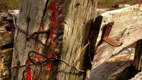 Great Day for a Motorcar Race - The-Acton-Speedway12.jpg