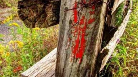 Great Day for a Motorcar Race - The-Acton-Speedway25.jpg