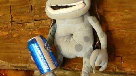 Pleasant Log - Mt.-Pleasant-Cabin80.jpg