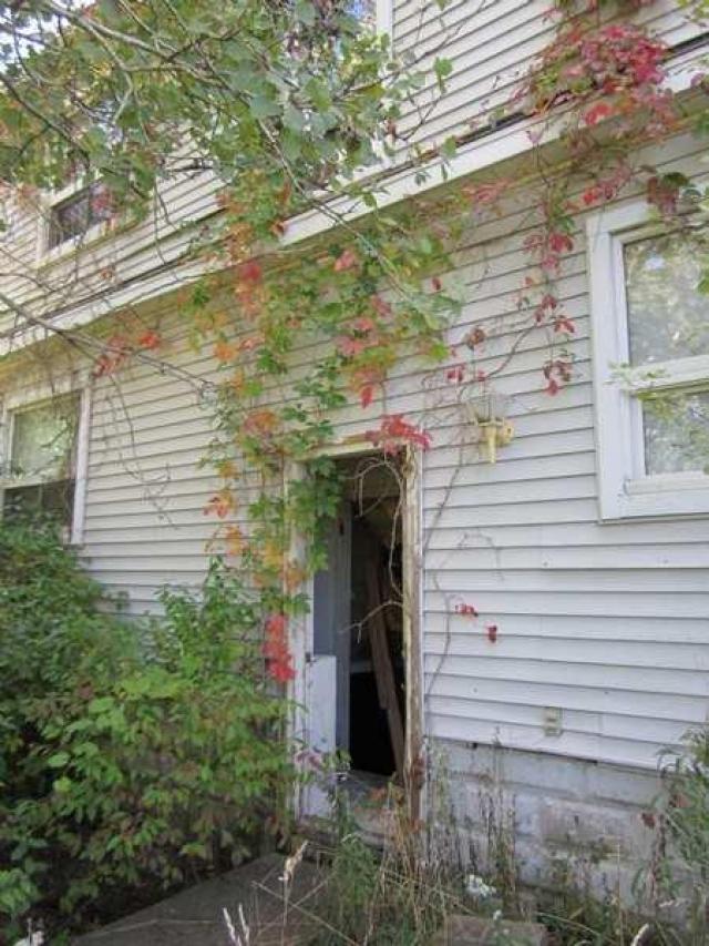 Grassy Brook - 021.jpg