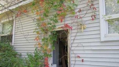 Grassy Brook Home photo 4