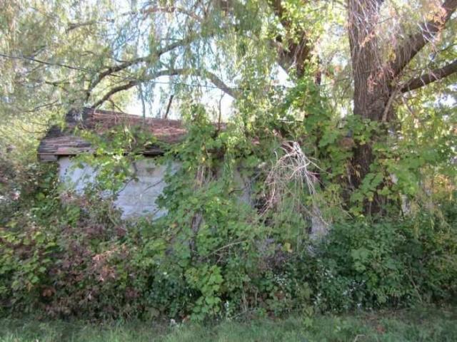 Grassy Brook - 024.jpg