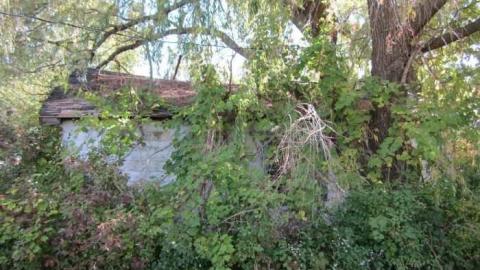 Grassy Brook Home photo 5