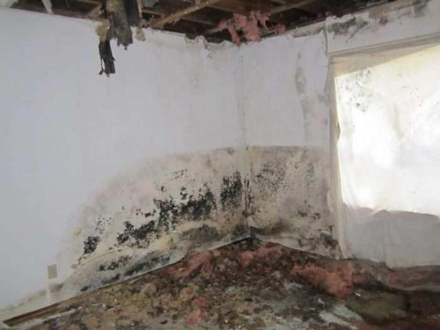 Grassy Brook - 009.jpg