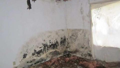 Grassy Brook - 009.jpg