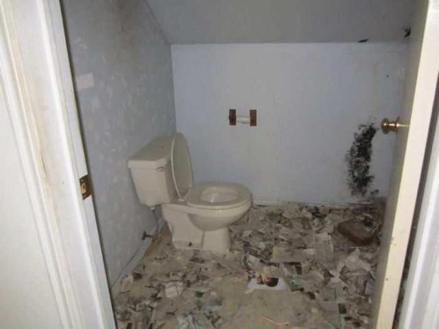 Grassy Brook - 011.jpg