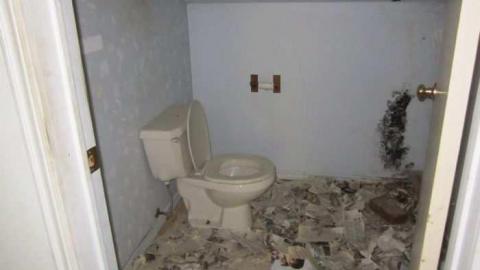 Grassy Brook - 011.jpg