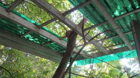 Maries House - Maries-House24.jpg