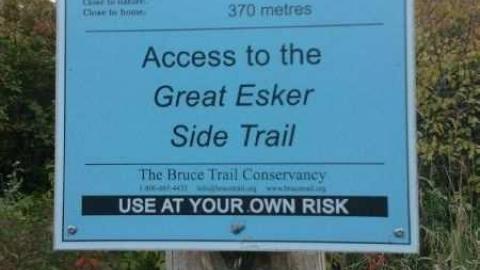 Relic in 'the Glen'2 - Abandoned-Wheels-21.jpg