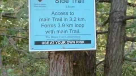 Relic in 'the Glen'2 - Abandoned-Wheels-22.jpg