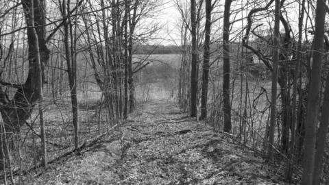 abandon farm with log cabin - Log-Cabin-and-Barns75.jpg