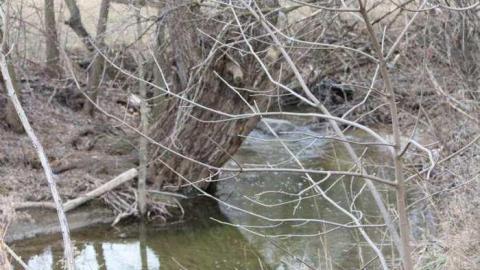 Gallery - Harmony-the-Forgotten-Village7.jpg