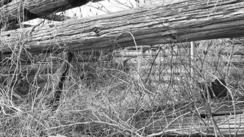 abandon farm with log cabin - Log-Cabin-and-Barns80.jpg