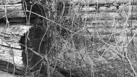 abandon farm with log cabin - Log-Cabin-and-Barns84.jpg