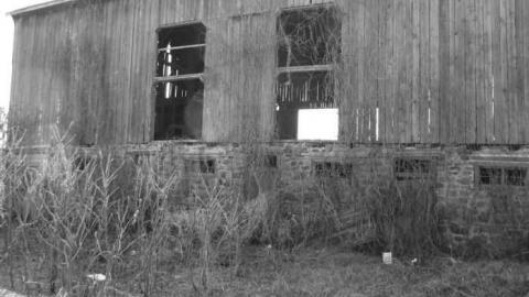 Log Cabin and Barns photo 5