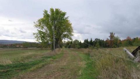 A Room With A View - Beautiful-property-wayyy-back37.jpg