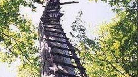 Early 1920s Fire Tower Lookouts photo 5