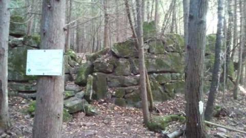 Hoffman Kiln Ruins - Hoffman-Lime-Kiln-Ruins23.jpg